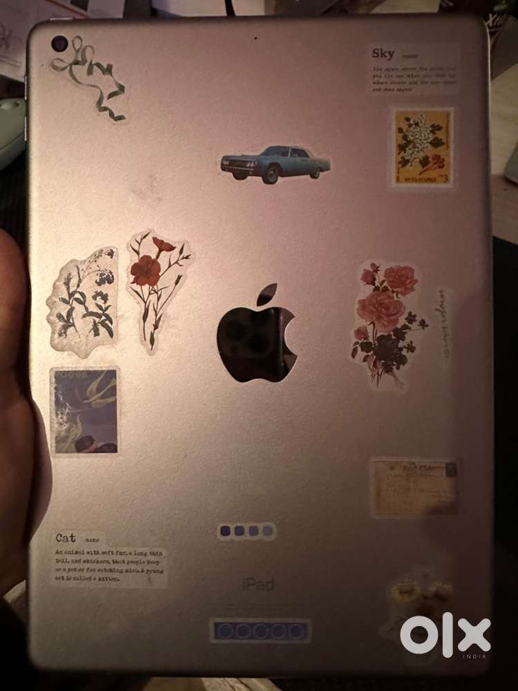 Ipad 6th Gen apple