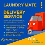 Van Delivery Executive
