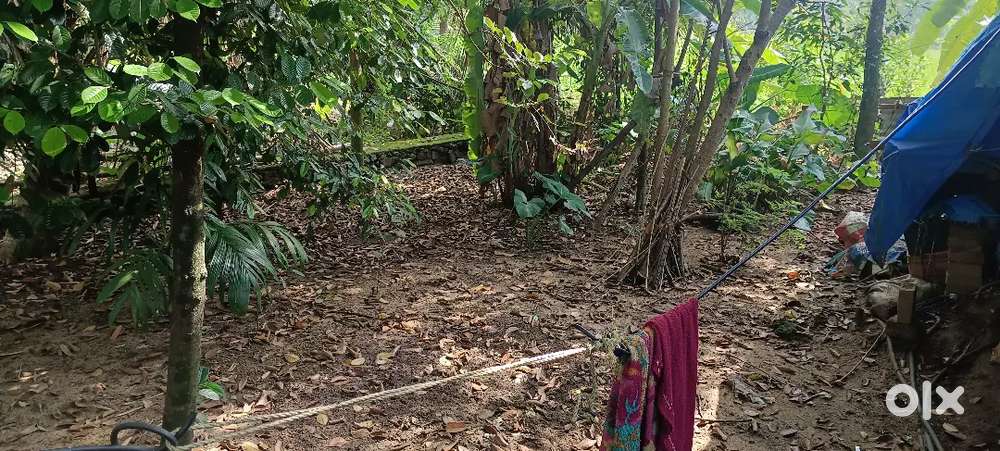 3cent plot in kunnathery pipeline road