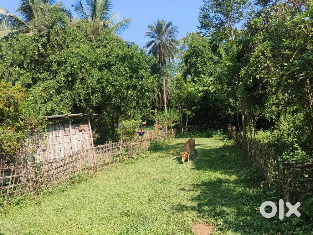 12 katha land with under construction home for sell town area