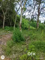 25 cent in njaliyakuzhy-pongamthanam road