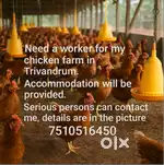 Need a worker for my chicken farm in Trivandrum.