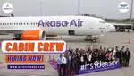 Job in indigo airlines 2025