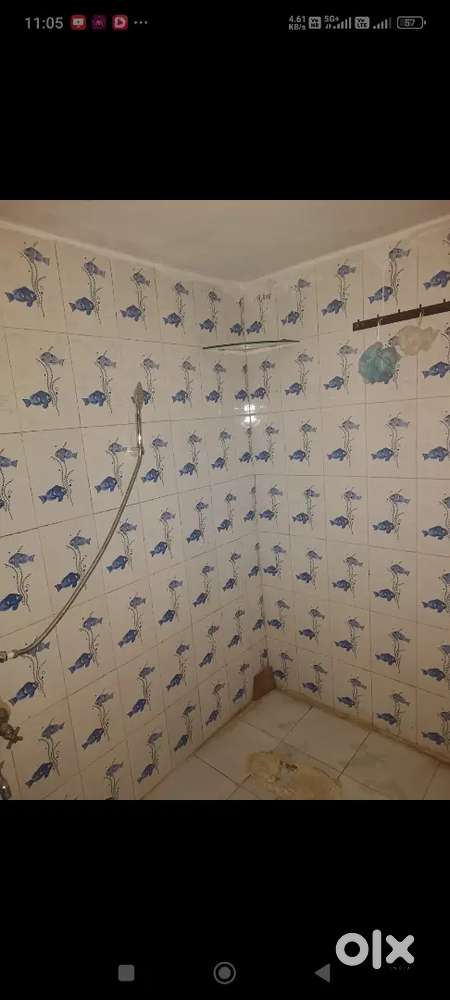 Looking for decent family