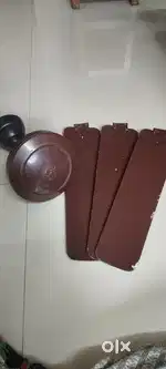 Ceiling Fan