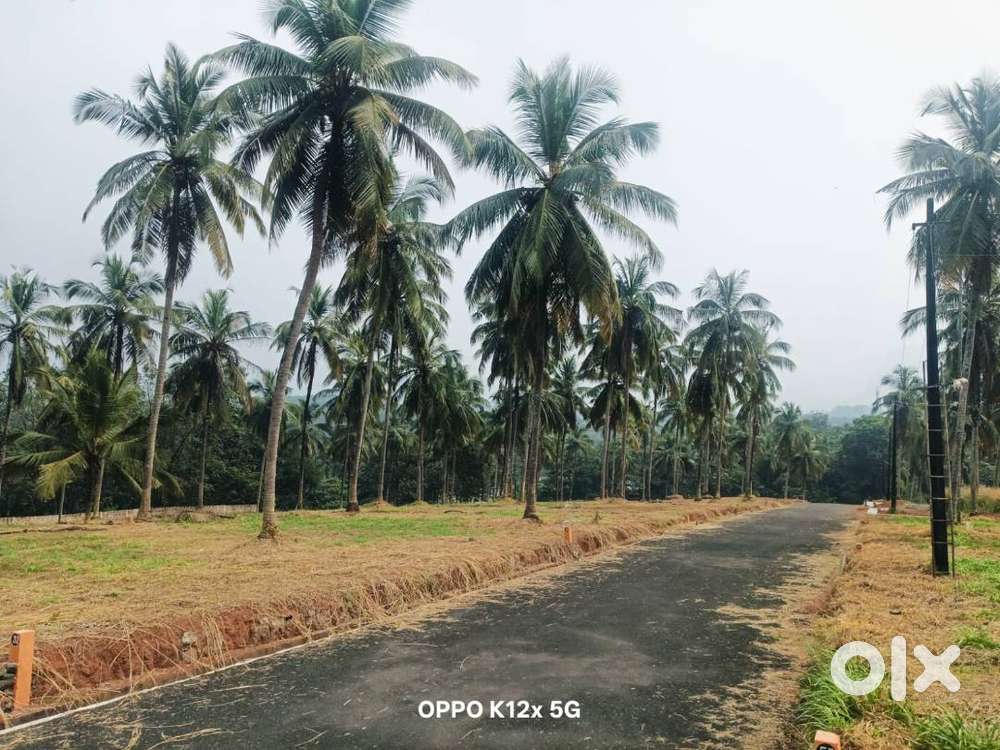 Plots for sale in Viyyakurissi, Mannarkkad