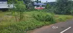Kodugoor 12.5 . cent house plot.1.75 .lakh.