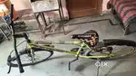 Sport cycle