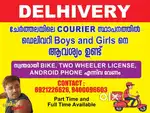 Delhivery Exicutive