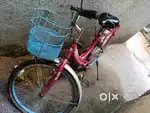 I sell ladies bird bycycle