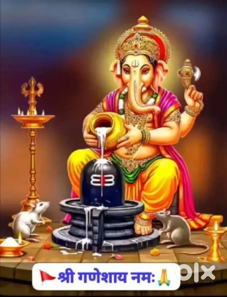 Mujhe 1 Professional Driver ki jarurat hai