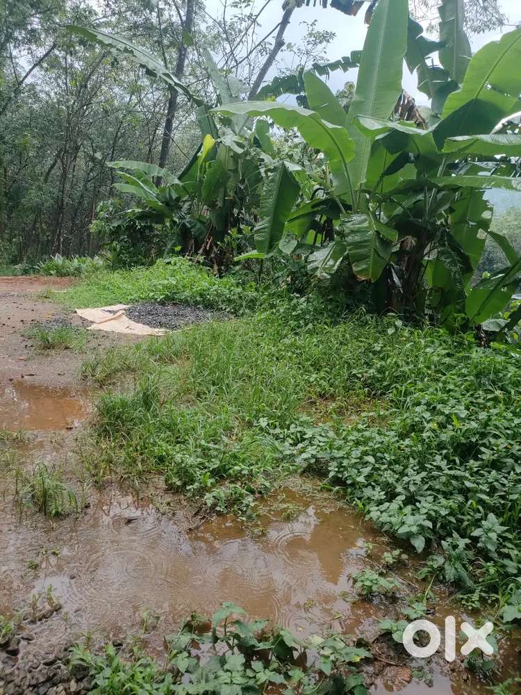 Land for Sale - 84 cents with road access and water facility