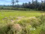 Farm land / farm house / agricultural land