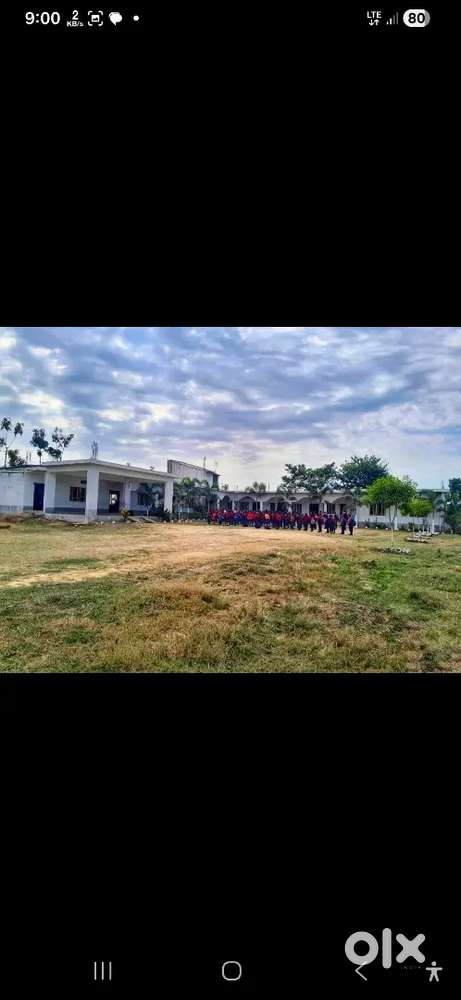 Hindi/Sanskrit Teacher