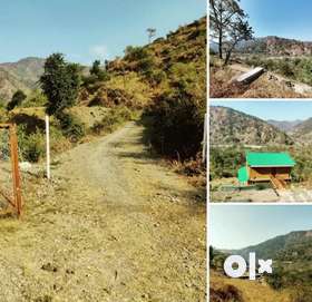 Thano green Price 14000 sq yards.Second homeInvestmentFarmhousePlot size 300 sq yard25 fit road.Peac...