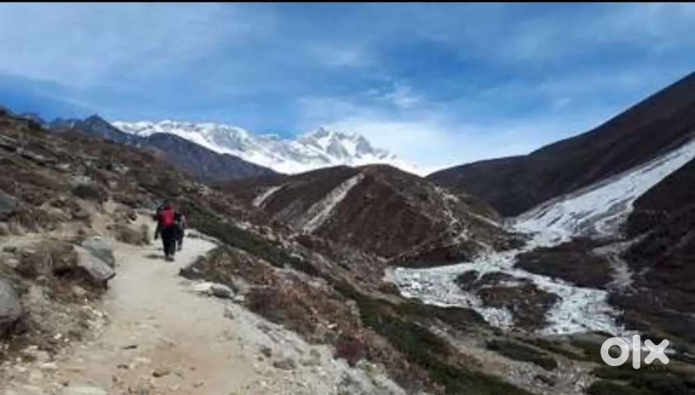 Well experienced Driver Mini. 3 years drinker/smoker should stay away