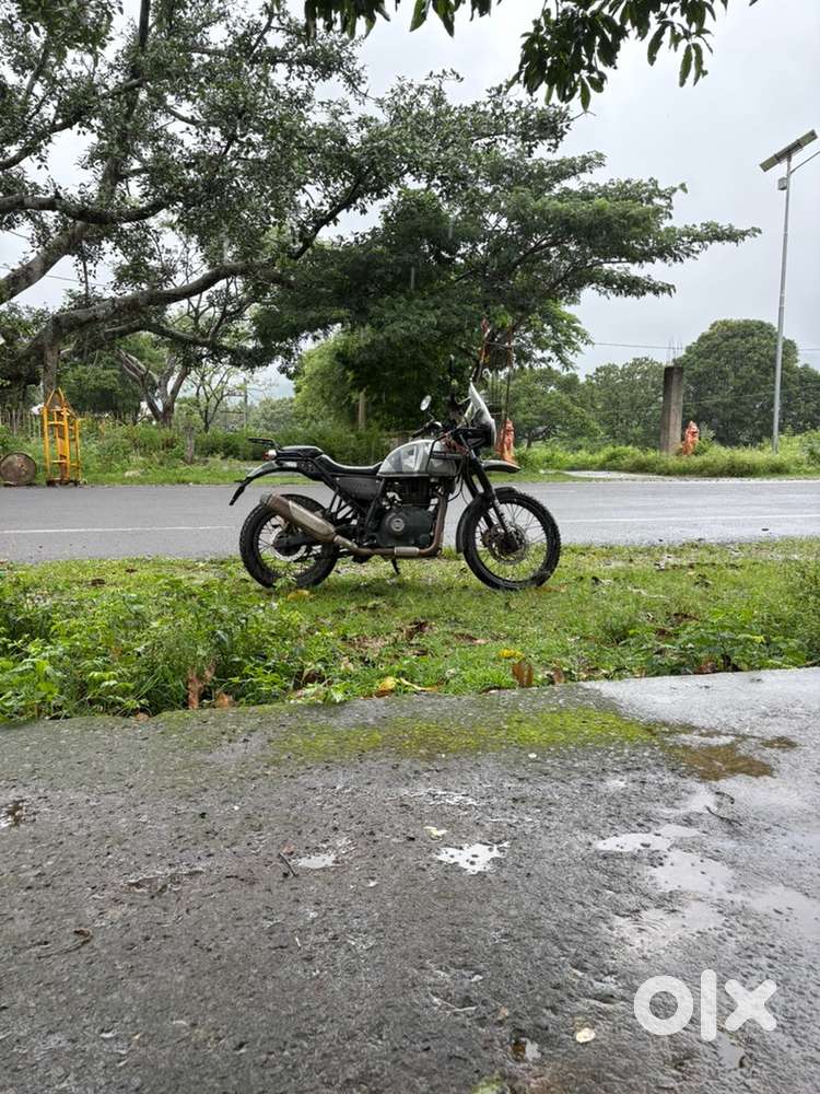 Urgent sell of himalyan