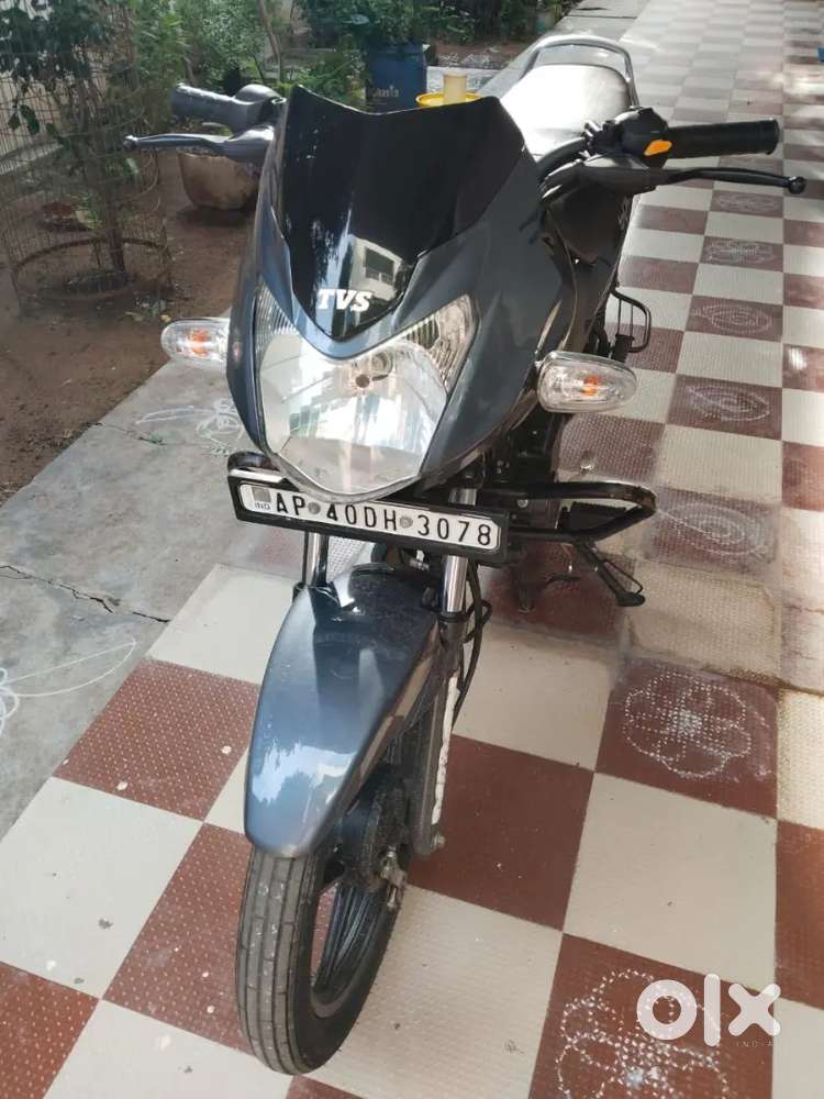 TVS sport 2024