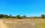 233 YARD plot available for sale