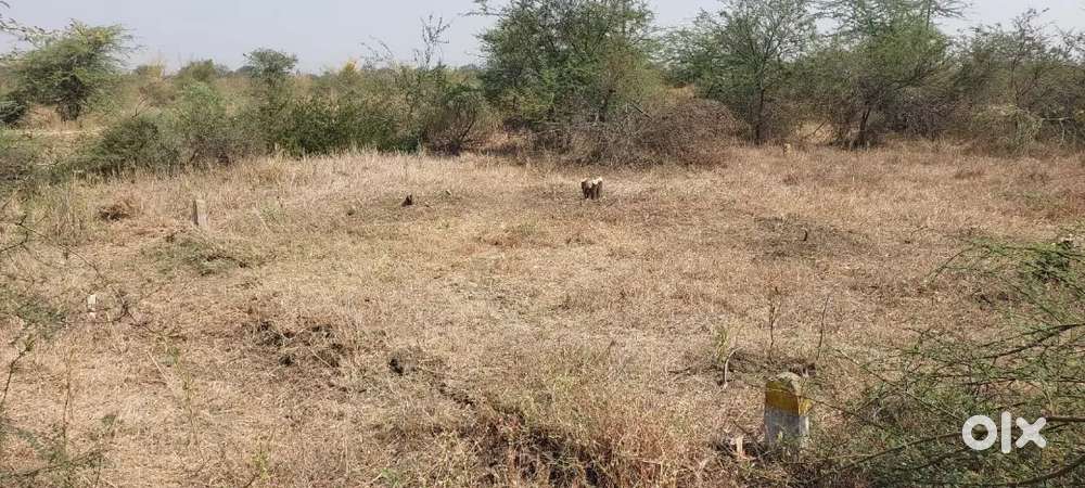 Two plots 1000sqft each together for sale at 13,00,000/-.