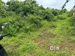 NA clear title plot, 550sqmt Tiskar GreenAccar price per Sqmtr 16.5k