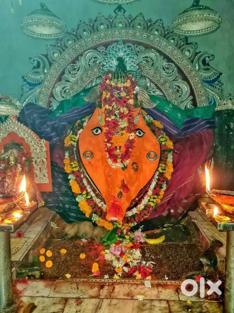 2BHK, semi furnished house at at Ramji Para Bijepur