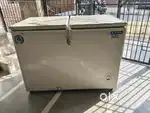 Bluestar Deep Freezer - 301 ltr - Double Door