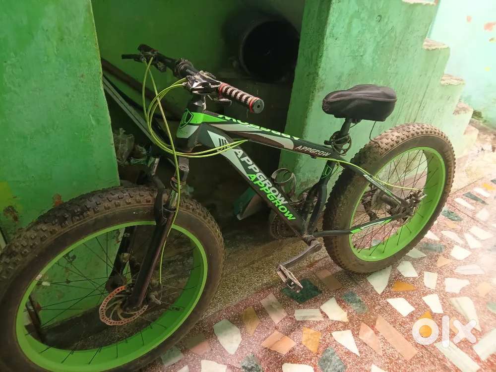 Fat tyers cycle