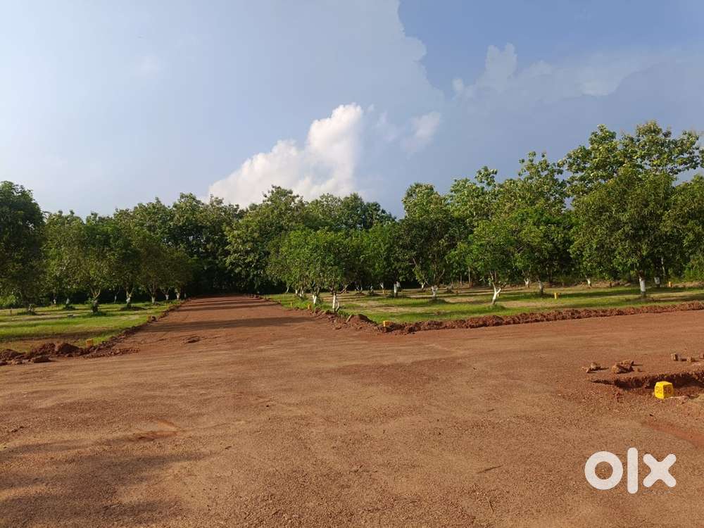 Bhogapuram low cost plots