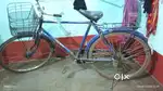 Best cycle for everyone
