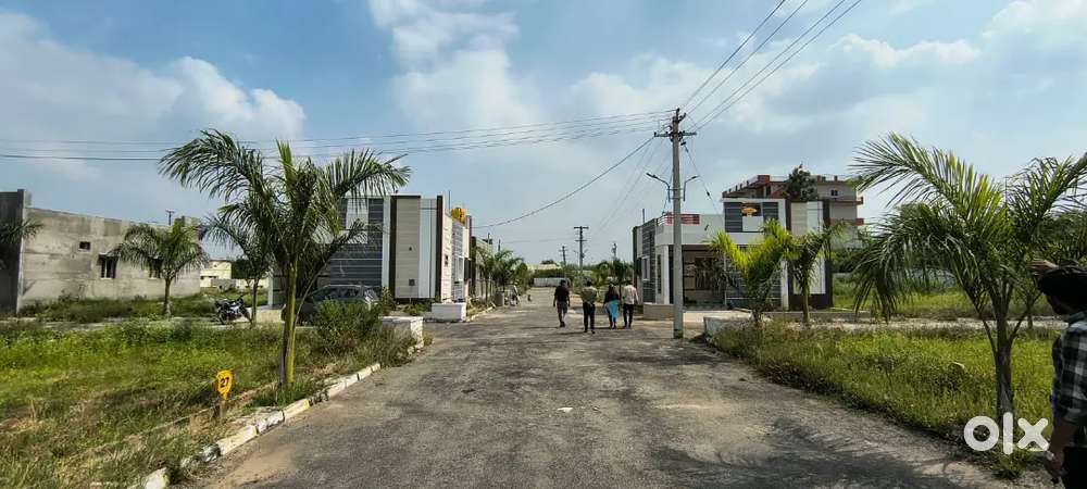 Budget friendly plots available