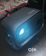 Lifelong Projector