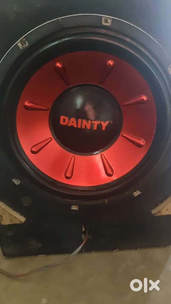 Dainty Subwoofer 12 Inch