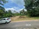 Plot for house