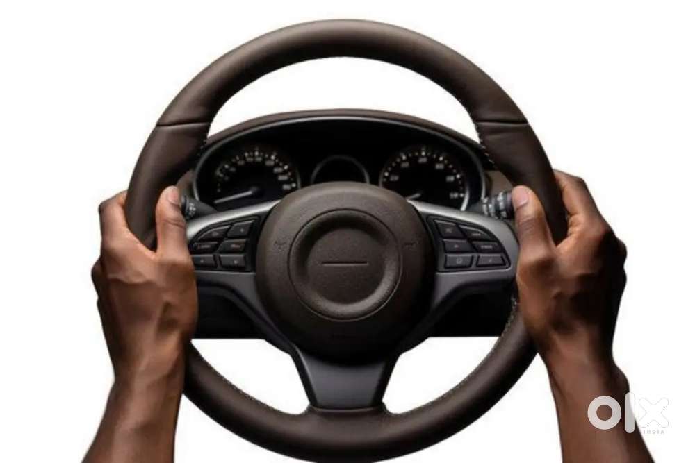 Professional car driver available