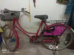 Lady cycle
