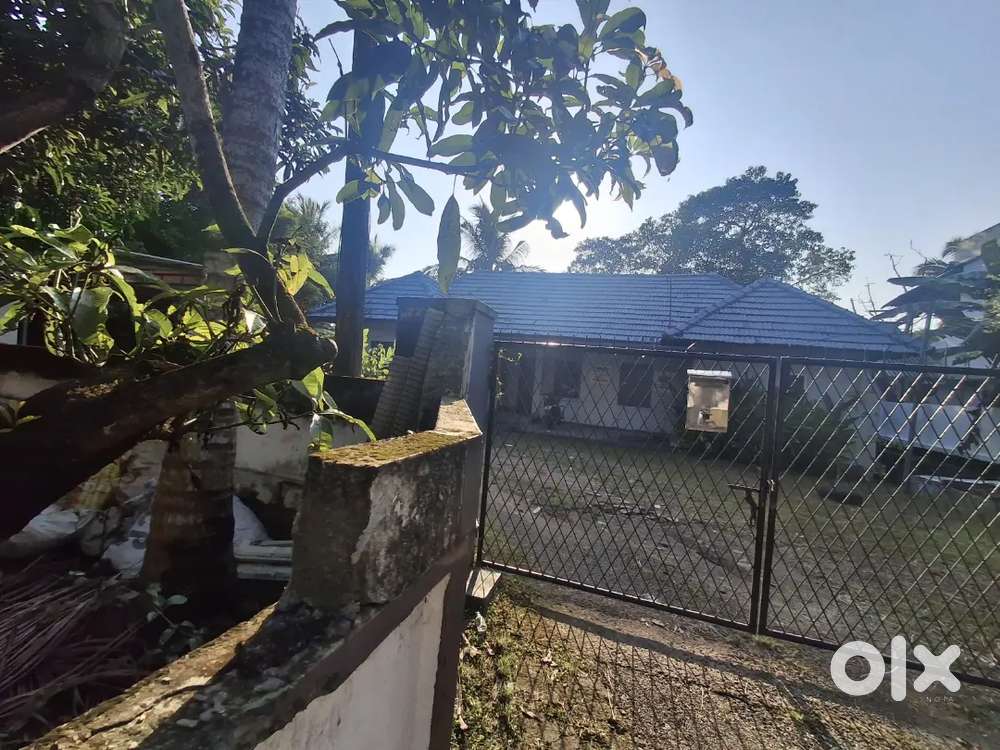 24 CENT LAND AND INCLUDED  OLD HOME FOR SALE  AT PANAMƁIlli NAGAR