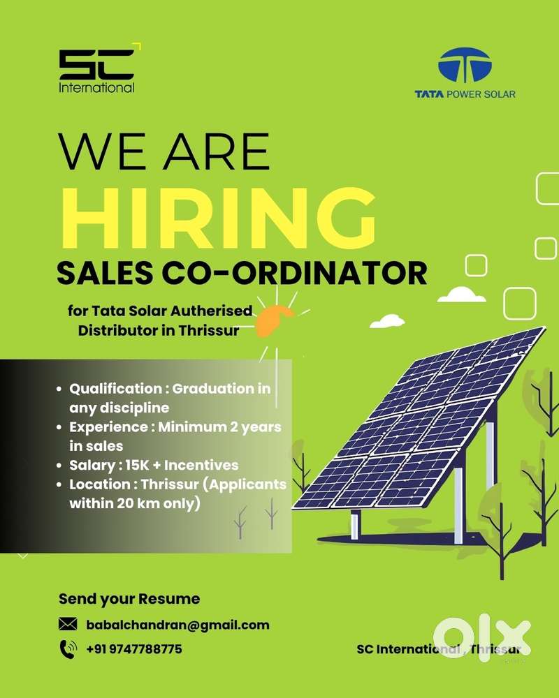 Sales Co ordinator