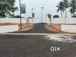 DTCP Approved Land for Sale in Avinashi Road