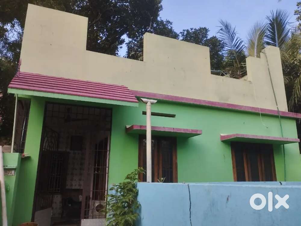 House for rent derik to sargunaveethi road