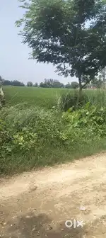 Deoria me  aur jamin lahipar
