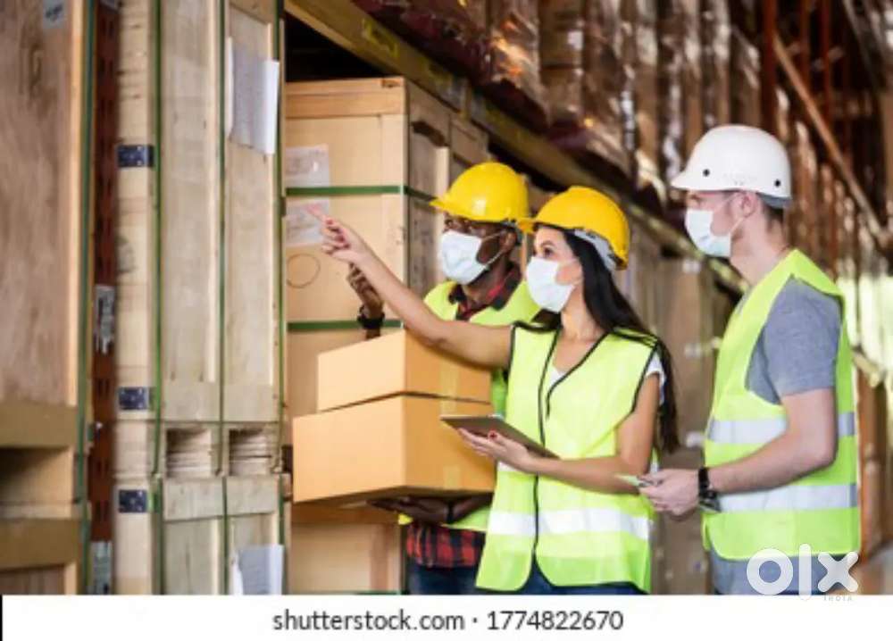80+ VACANCIES AVAILABLE IN WAREHOUSE COMPANY