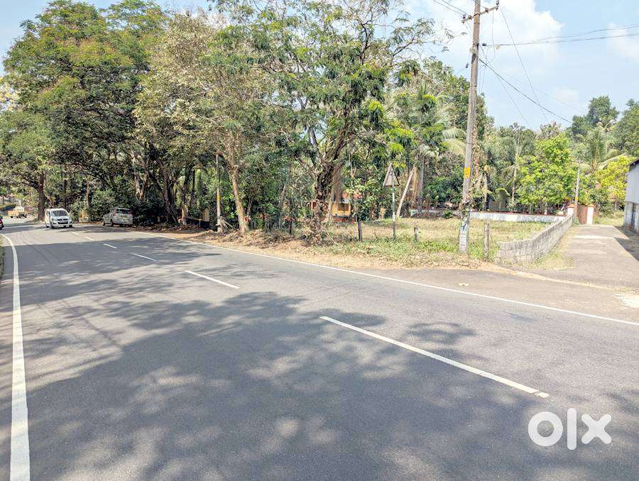 Commercial land 15 cents at Ettumanoor-Ernakulam road side 5.5 lakh/ce