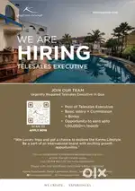 Tele sales executive