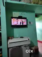 Tv Lloyd 17000
