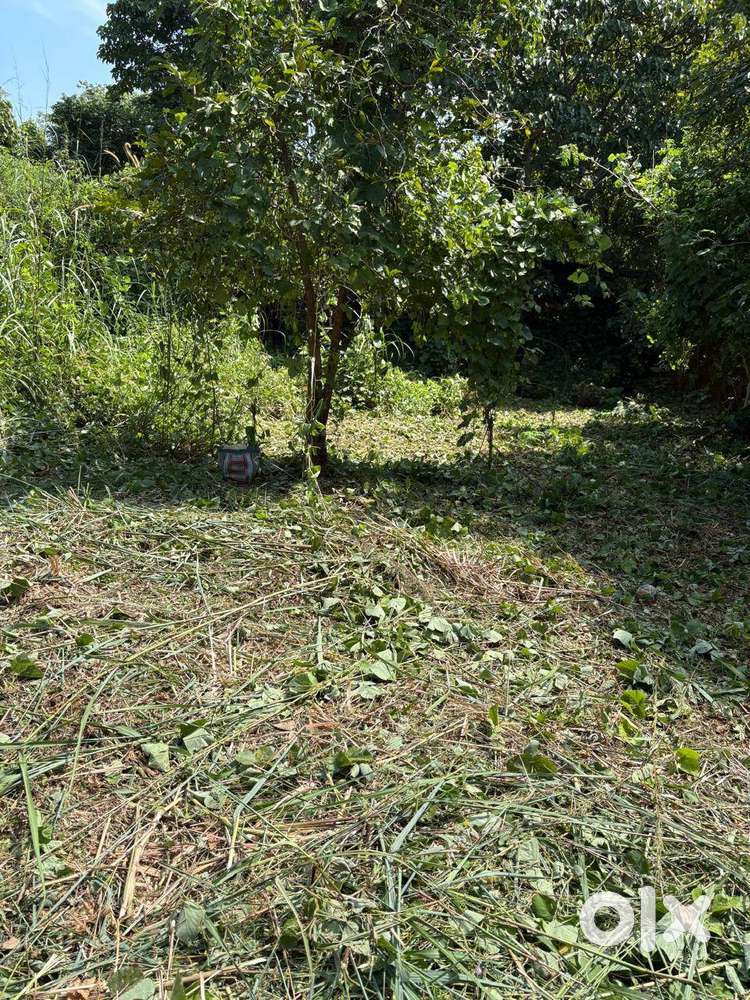 Residential land-10 cent for sale in Velappaya, Main road, Thrissur.
