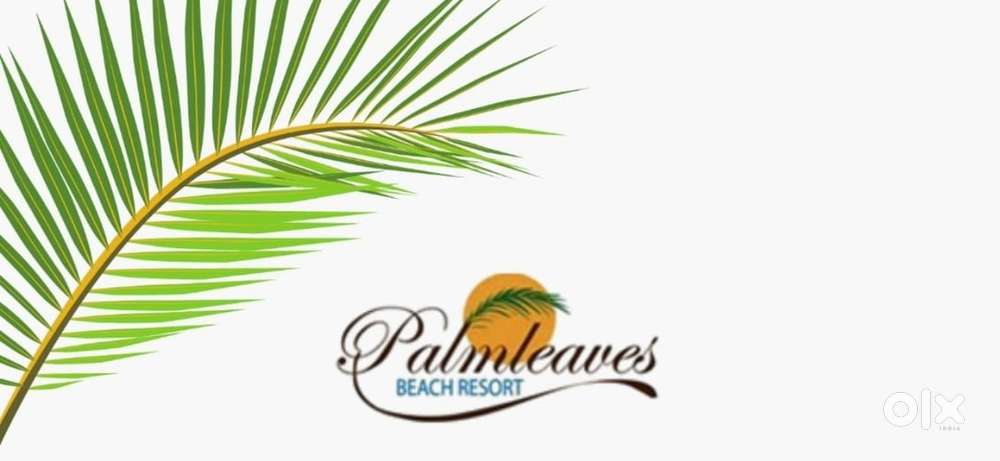 (Urgent requirement) Receptionist front office, chef, housekeeping