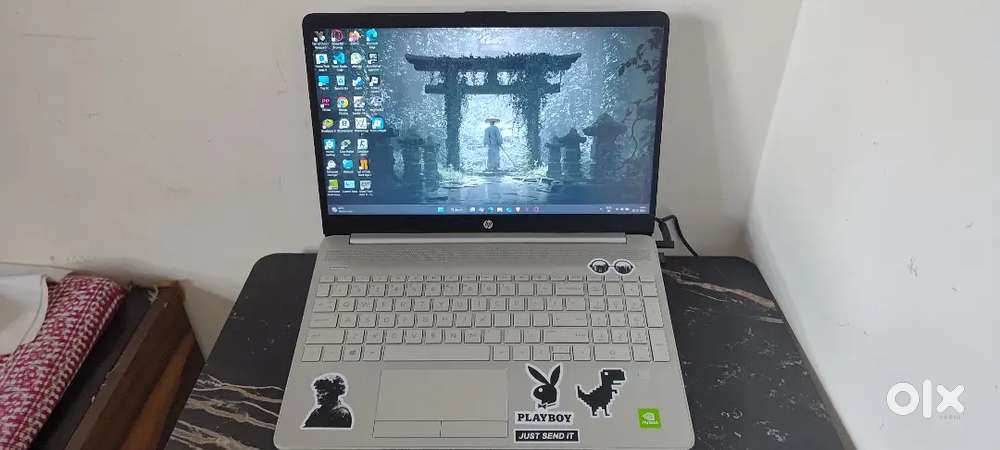 HP Laptop i5 10th gen 256GB SSD + 1TB HDD 8GB DDR4 Ram + 2GB Graphics.