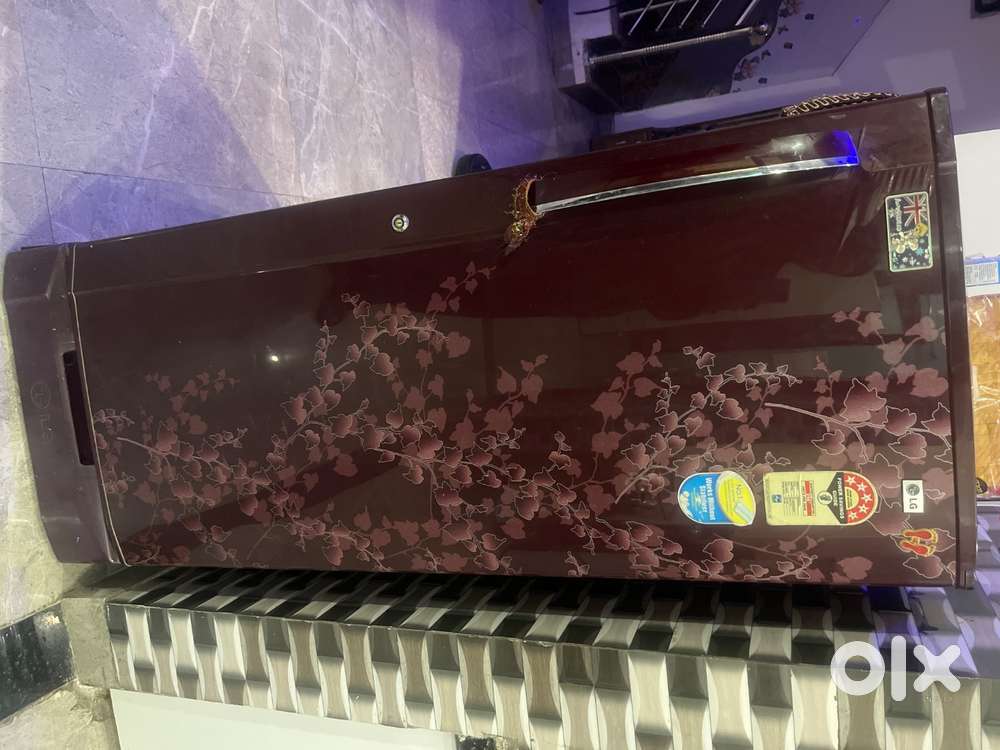 LG , GL-245FEDG5/2011,14 years, Direct cool