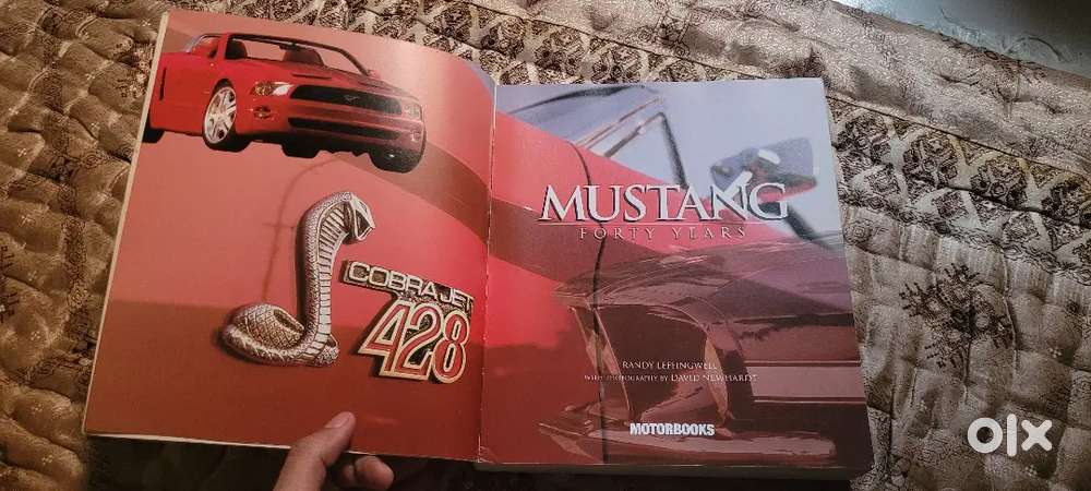 Forty Years Mustang
